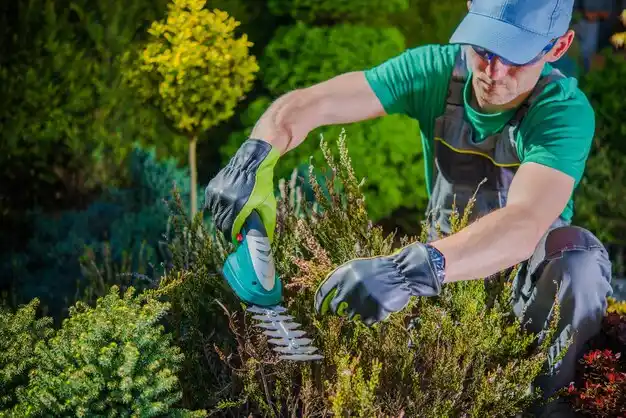 landscaping services Jerry City
